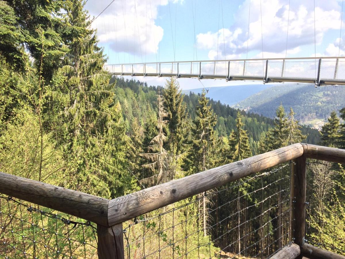 Ferienwohnung Kuckuck Auf Dem Sommerberg Incl Schwarzwaldcard Plus - 2 Zimmer 50Qm Bad Wildbad Exterior foto