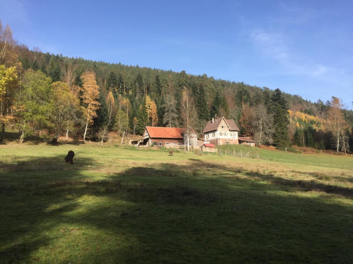 Ferienwohnung Kuckuck Auf Dem Sommerberg Incl Schwarzwaldcard Plus - 2 Zimmer 50Qm Bad Wildbad Exterior foto